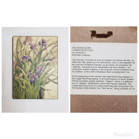 ART Botanical Floral Prints in Lavender Green Set of 3 - Picture 10 of 11
